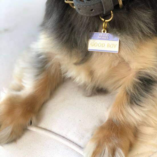 Good Boy Enamel Dog Tag - Canine Compassion Bandanas