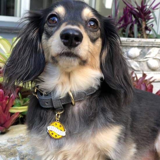 Pupperoni Enamel Dog Tag - Canine Compassion Bandanas