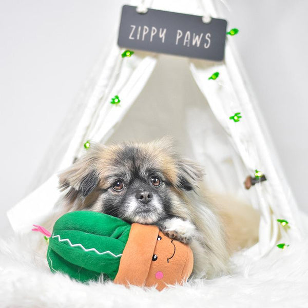 Succulent Plush Dog Toy - Canine Compassion Bandanas
