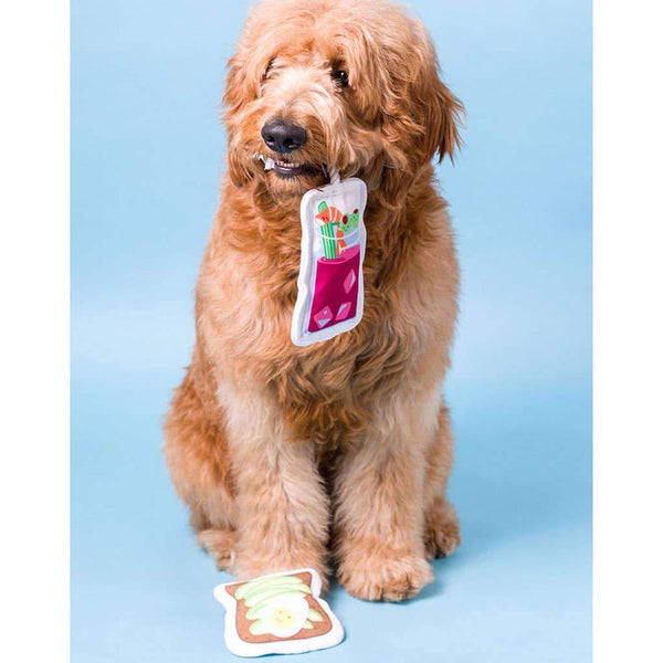 Brunch Dog Toys (Set of 2) - Canine Compassion Bandanas