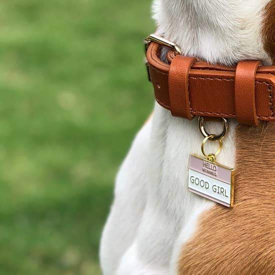 Good Girl Enamel Dog Tag - Canine Compassion Bandanas