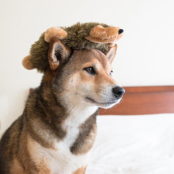 Hedgehog Loopy Dog Toy - Canine Compassion Bandanas