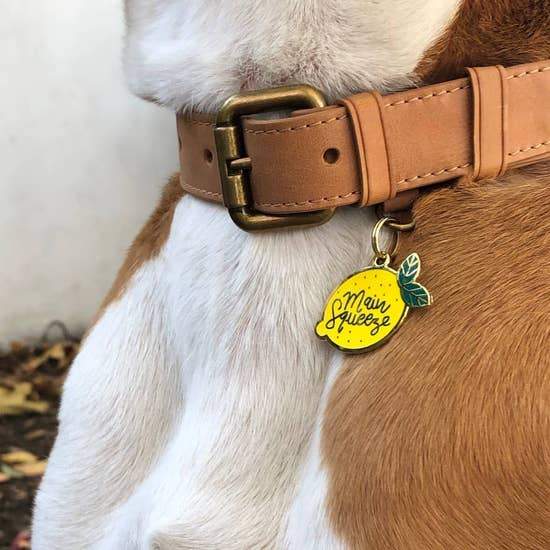 Main Squeeze Enamel Dog Tag - Canine Compassion Bandanas