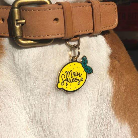 Main Squeeze Enamel Dog Tag - Canine Compassion Bandanas