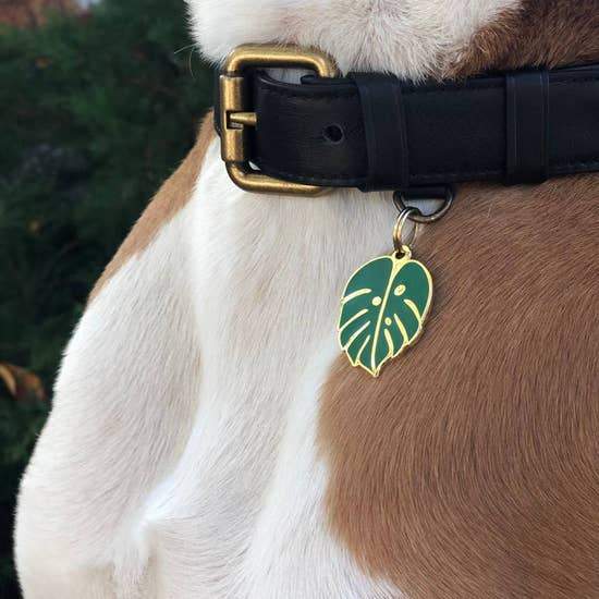 Monstera Leaf Enamel Dog Tag - Canine Compassion Bandanas