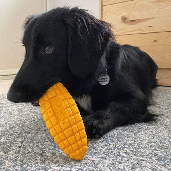 Nylon Corn On The Cob Chew Toy - Canine Compassion Bandanas