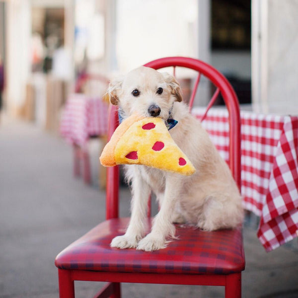 Pizza Plush Dog Toy - Canine Compassion Bandanas