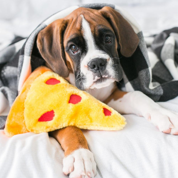 Pizza Plush Dog Toy - Canine Compassion Bandanas