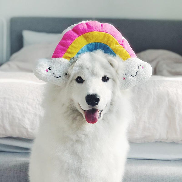 Rainbow Plush Dog Toy - Canine Compassion Bandanas
