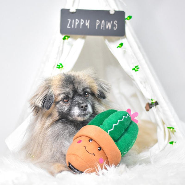 Succulent Plush Dog Toy - Canine Compassion Bandanas