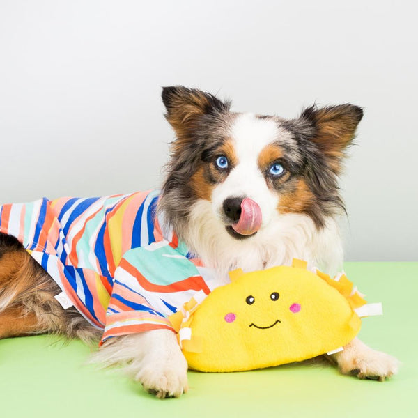 Taco Plush Dog Toy - Canine Compassion Bandanas